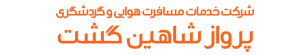 شاهین گشت